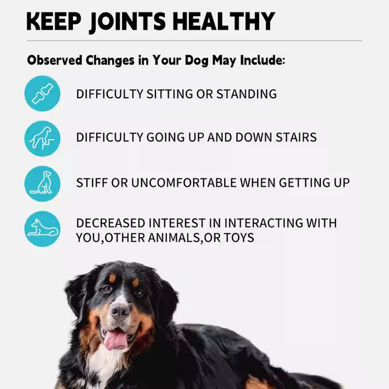 Pet Joint Supplements Manufacturer - OEM Chewable Soft Chews for Dogs and Cats