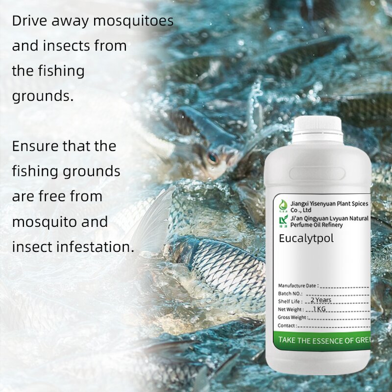 Eucalyptus Essential Oil Supplier - 1-8 Cineol for Aquaculture
