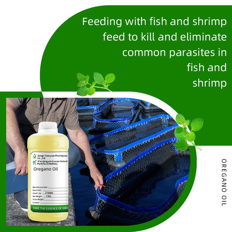 Oregano Oil Factory - 100% for Shrimp Aquaculture