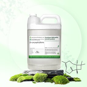 Beta-Caryophyllene Factory - Food Grade for Repellent