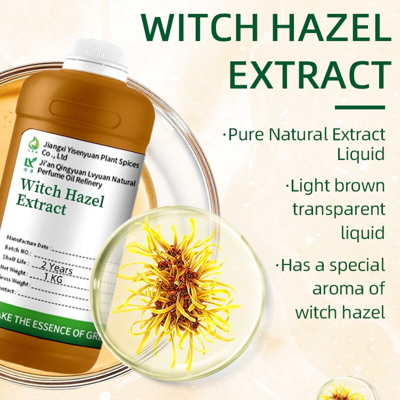Witch Hazel Extract Manufacturer - Alcohol-free Tincture