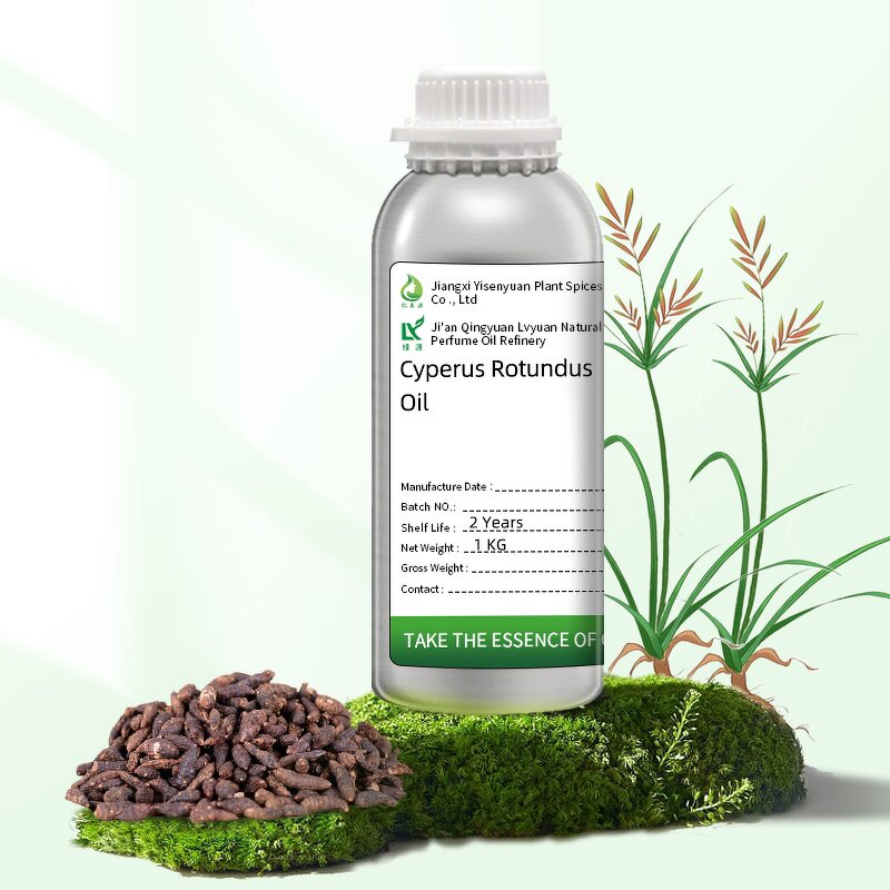 Xiangfu Oil Manufacturer - Natural Nut Grass Extract