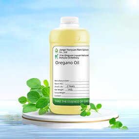 Oregano Oil Factory - 100% for Shrimp Aquaculture