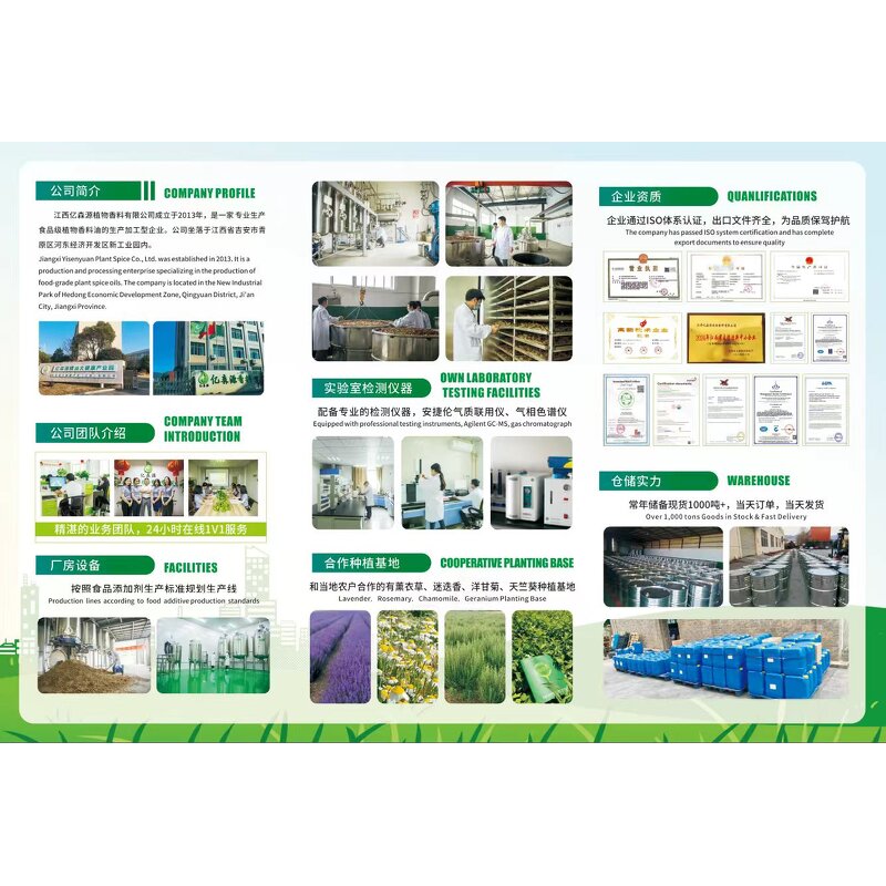 Anethole Oil Supplier - Food Grade 99% Content