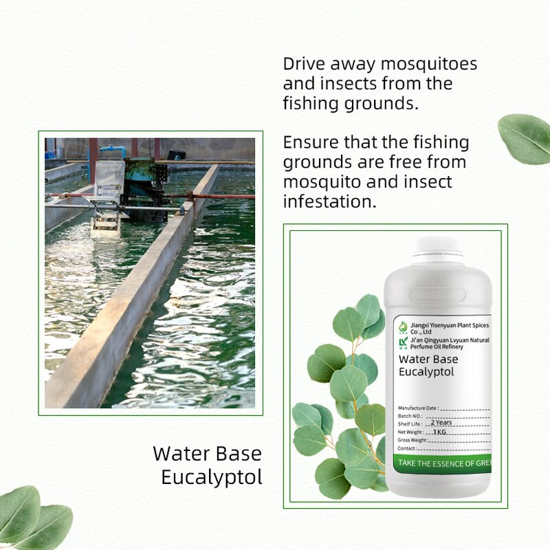 Cineole Supplier - Natural for Aquaculture