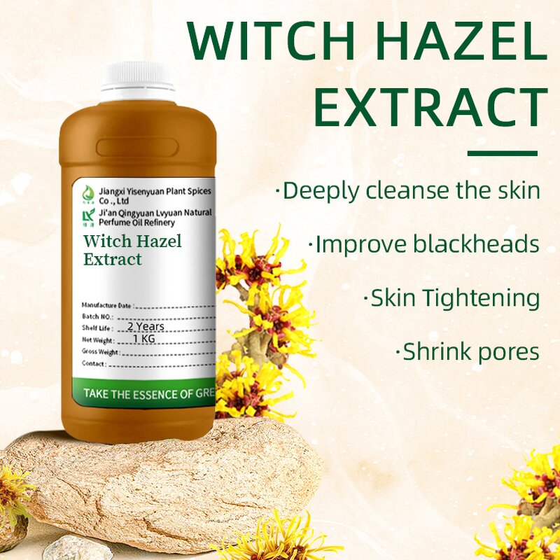 Witch Hazel Extract Manufacturer - Alcohol-free Tincture