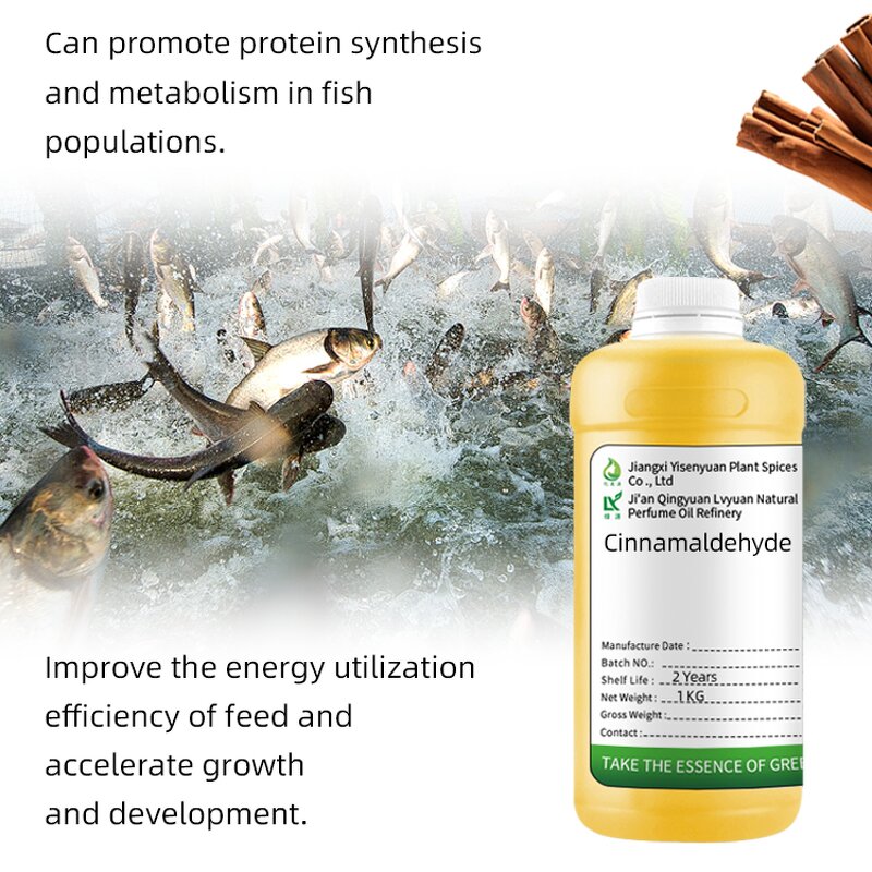 Cinnamaldehyde Supplier - Food Grade for Aquaculture