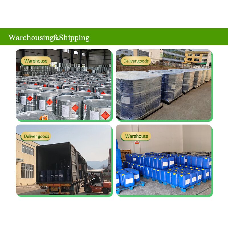 Wheat Germ Oil Factory - Halal Cold Pressed Bulk