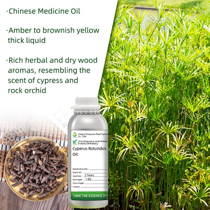Xiangfu Oil Manufacturer - Natural Nut Grass Extract