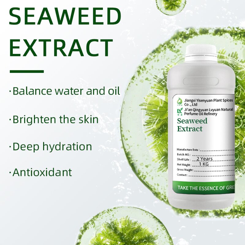 Seaweed Extract Supplier - Agriculture Fertilizers
