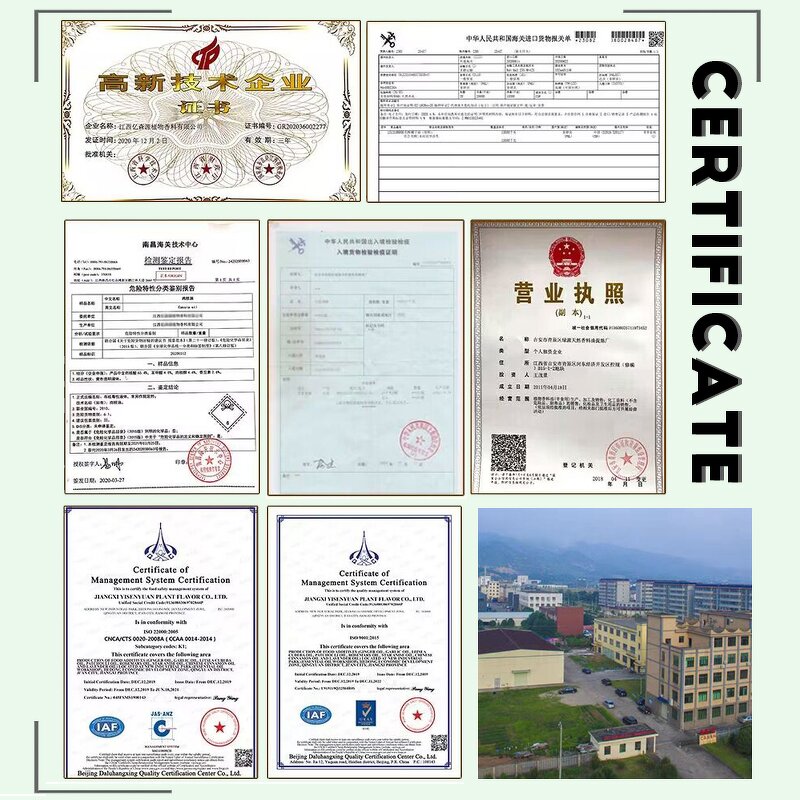 Cucumber Extract Manufacturer - Organic for Cosmetic