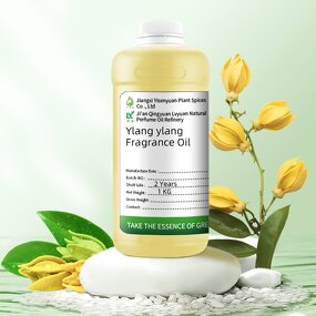 Ylang Ylang Oil Factory - For Body Massage Aromatherapy