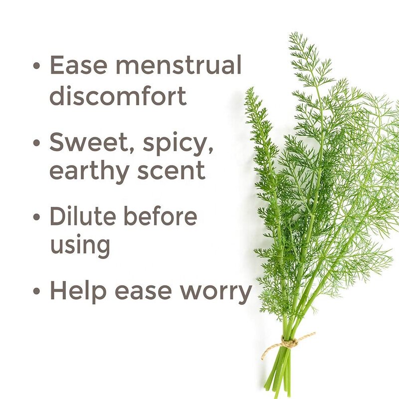 Fennel Organic Essential Oil Supplier - For Pain and Skin