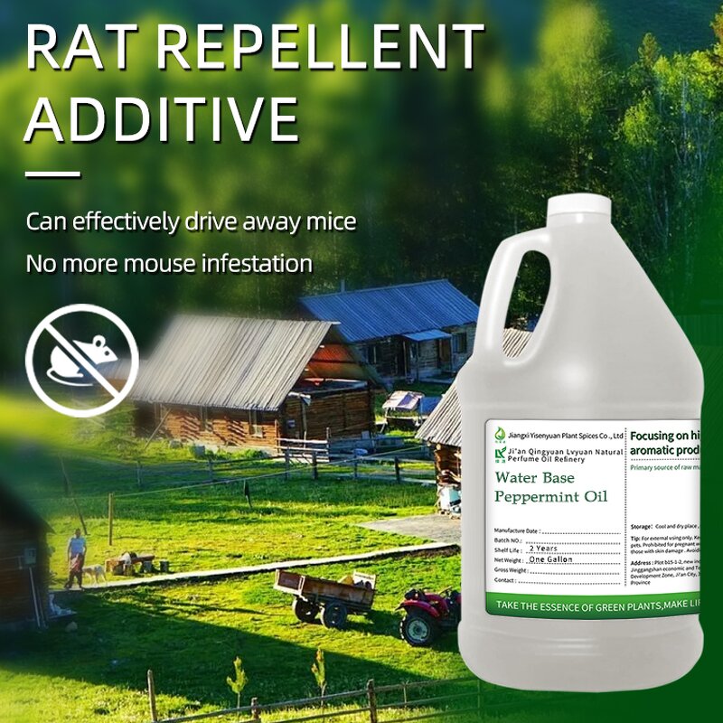 Peppermint Oil Manufacturer - Halal Food Grade Bulk