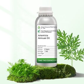 Artemisia Vulgaris Oil Manufacturer - Steam Distilled