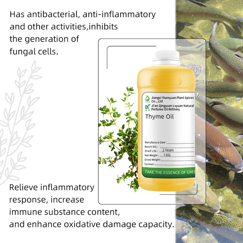 Thyme Essential Oil Supplier - For Aquatic Breeding