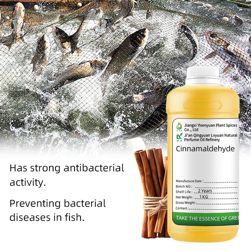 Cinnamaldehyde Supplier - Food Grade for Aquaculture
