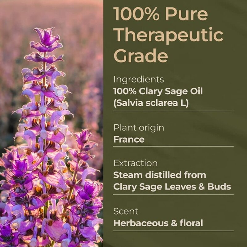 Clary Sage Essential Oil Manufacturer - For Skincare Haircare