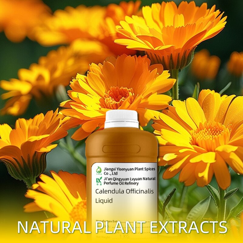 Calendula Extract Liquid Supplier - For Face Hydrating