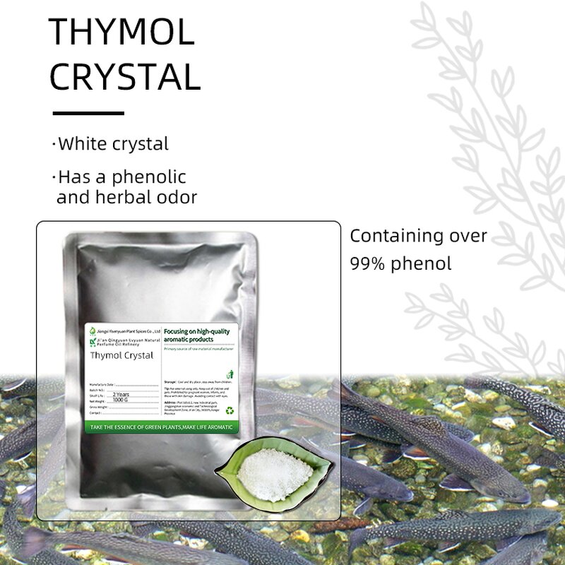 Thymol Crystal Factory - 99% Pure for Aquaculture