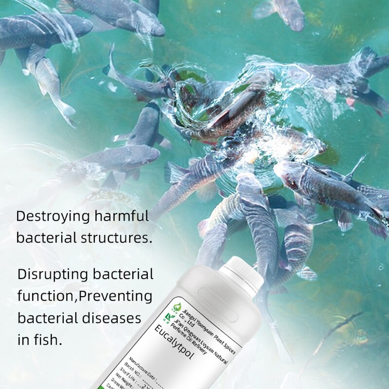 Eucalyptus Essential Oil Supplier - 1-8 Cineol for Aquaculture