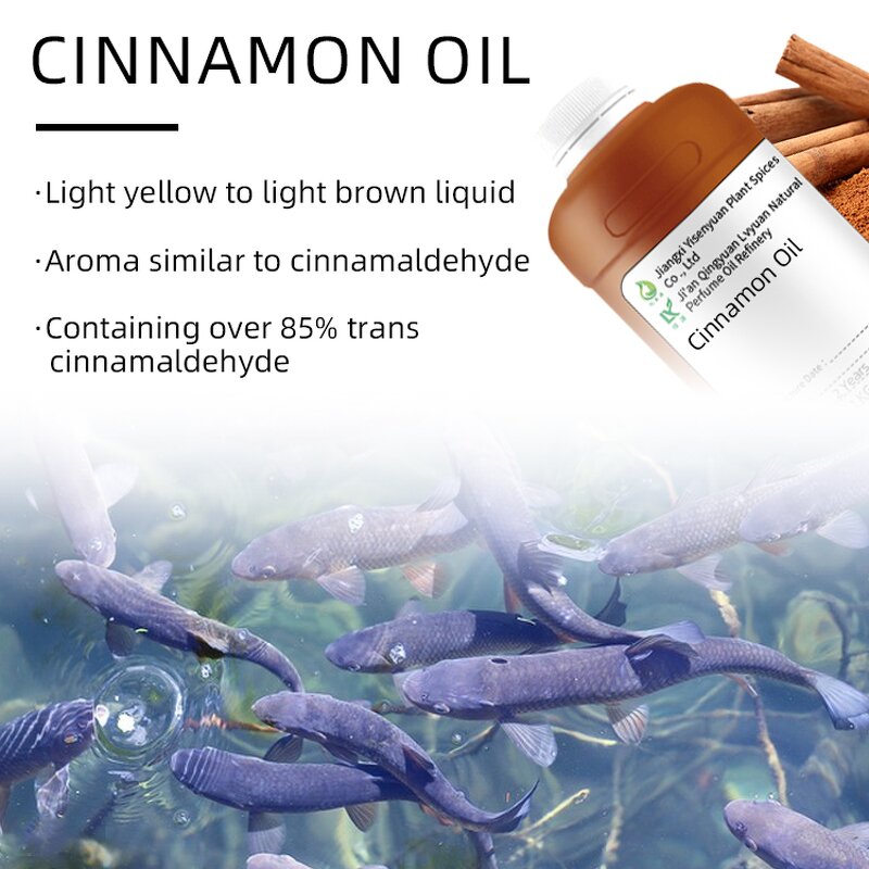 Cinnamon Bark Oil Factory - Organic for Aquaculture