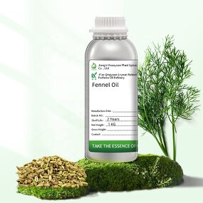 Fennel Organic Essential Oil Supplier - For Pain and Skin