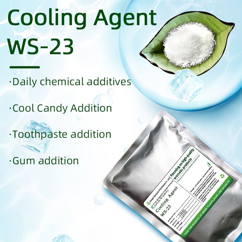 WS-23 Liquid Supplier - Food Grade Cooling Agent