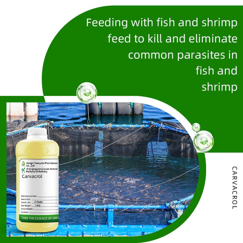 Oregano Oil Manufacturer - 80 Carvacrol for Aquaculture
