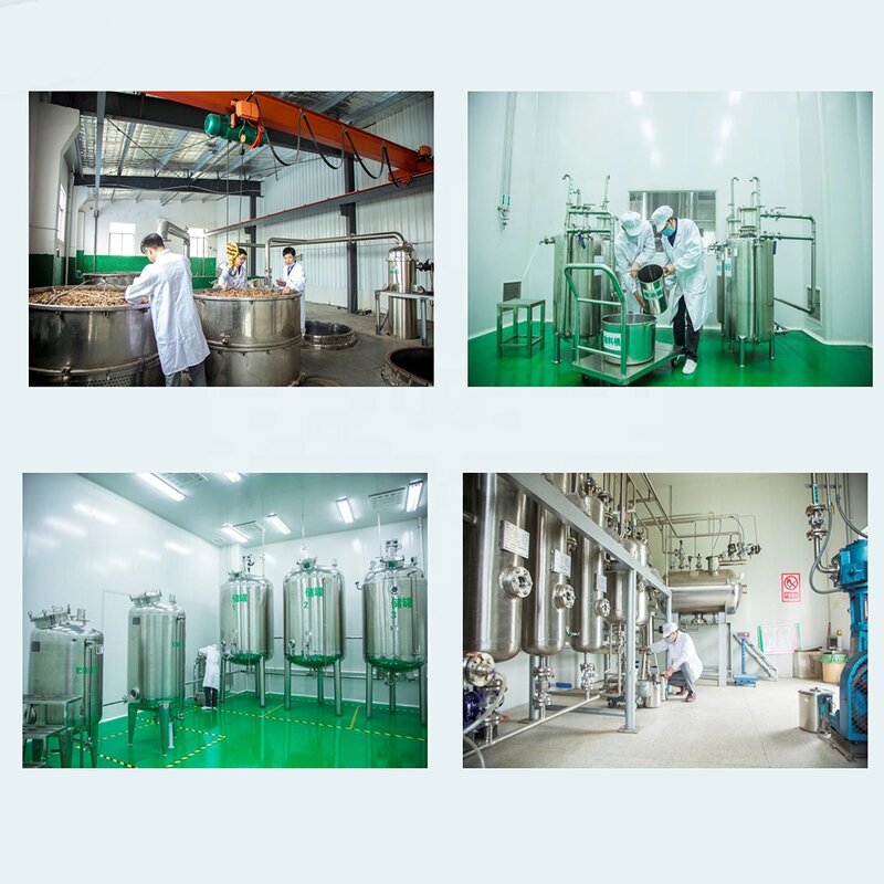 Camellia Seed Oil Factory - Pure Natural Cold Press