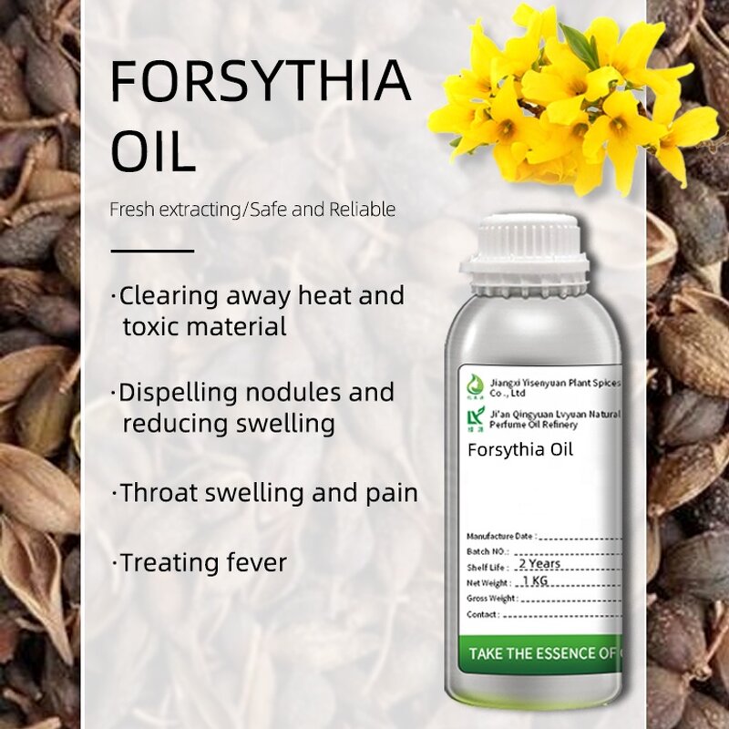 Forsythia Extract Factory - Organic Non-GMO