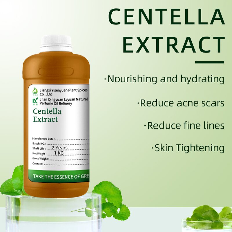 Centella Asiatica Extract Manufacturer - For Natural Cosmetic