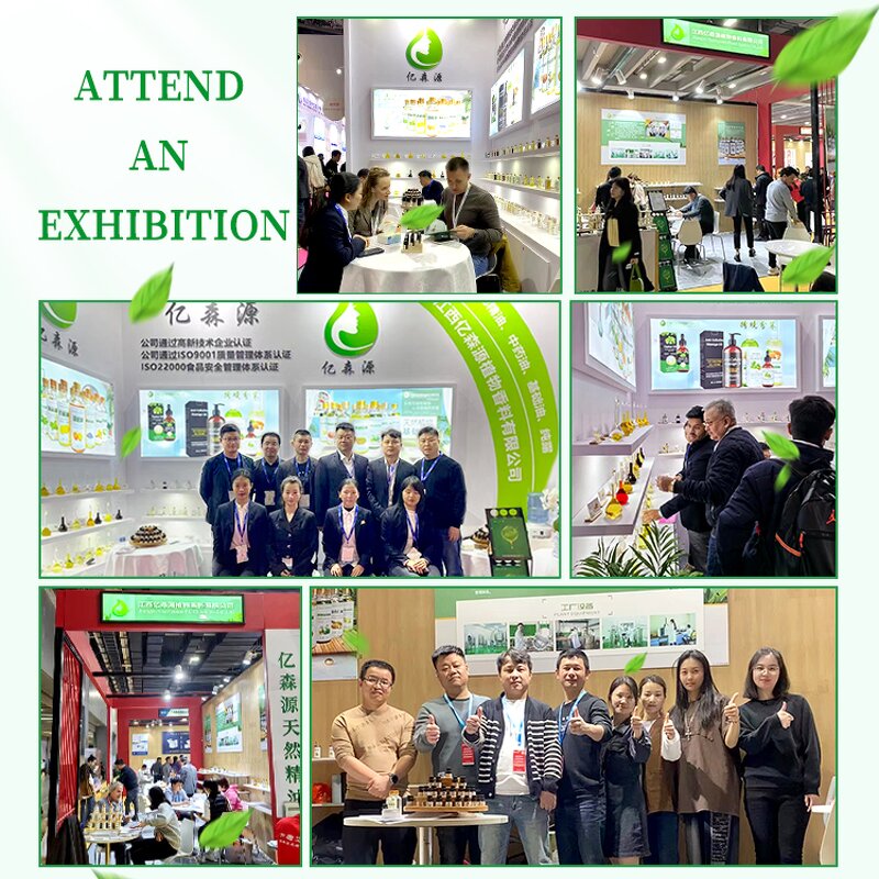 Water Soluble Eucalyptus Oil Supplier - For Aquaculture