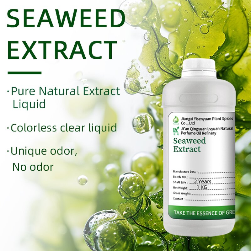 Seaweed Extract Supplier - Agriculture Fertilizers