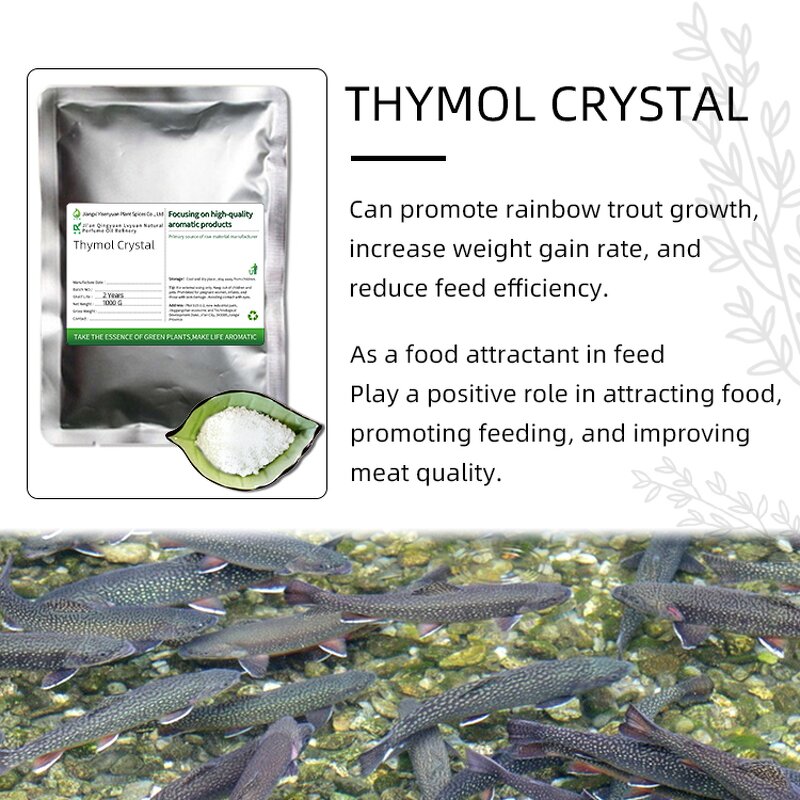 Thymol Crystal Factory - 99% Pure for Aquaculture