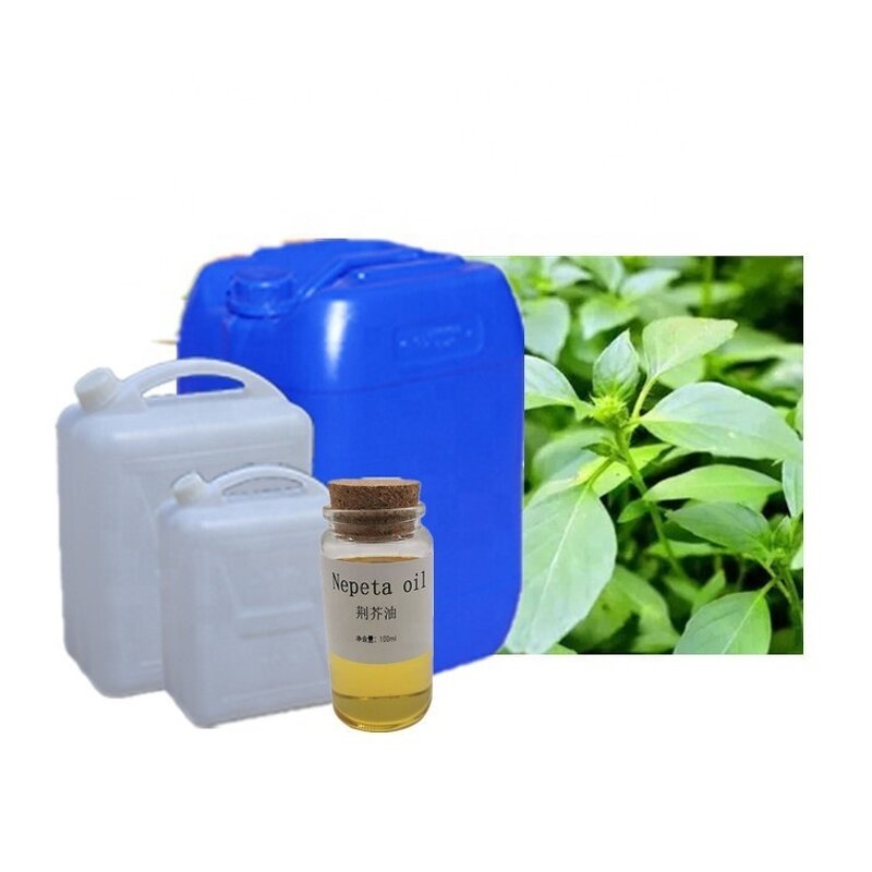 Catnip Oil Supplier - Bulk for Mouthwash Toothpaste