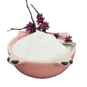 Starch Ether Manufacturer - Hydroxypropyl Starch Ether Powder