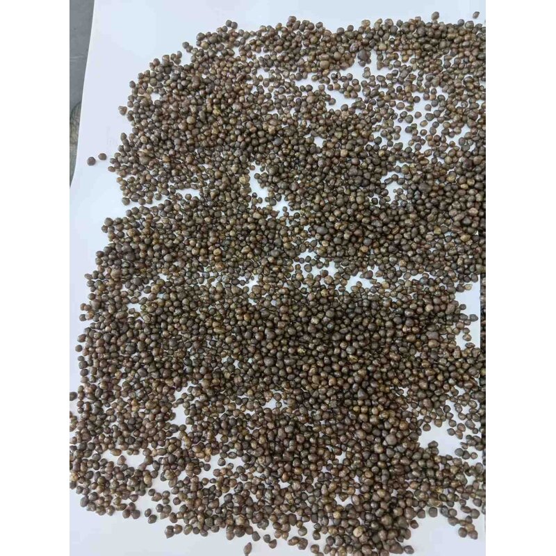 Semi Coke Supplier - Steel Casting Foundry Metallurgical