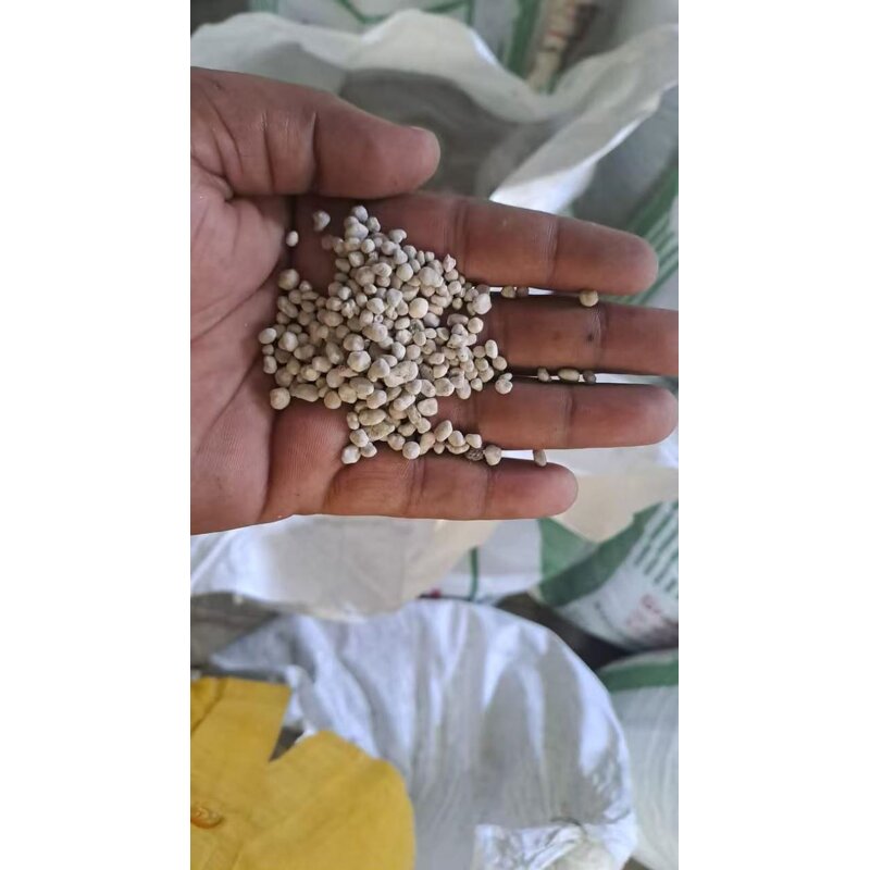 Semi Coke Factory - Low Price 5-20mm