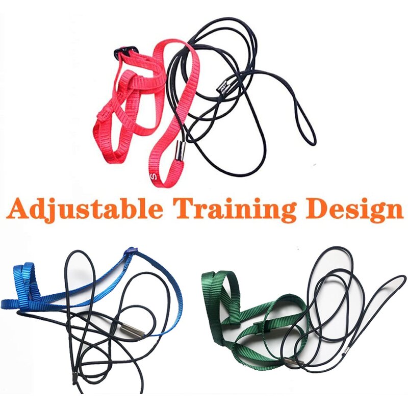 Parrot Harness Factory - Flying Traction Rope Training Walking Leash Wholesale