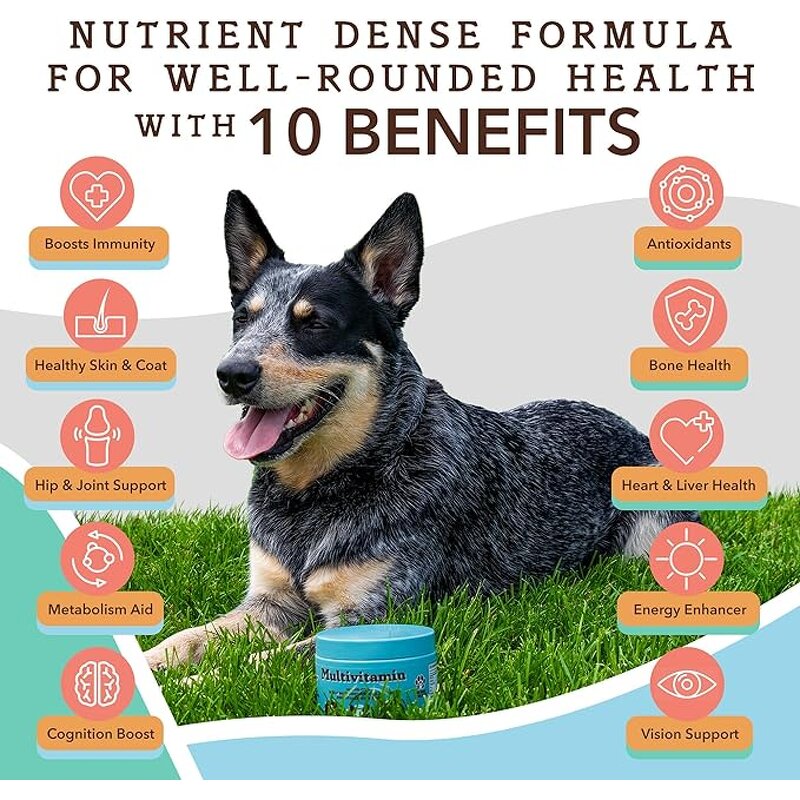 Dog Vitamin Supplement Supplier - Vet Recommended MultiVitamin for Mood Skin Coat