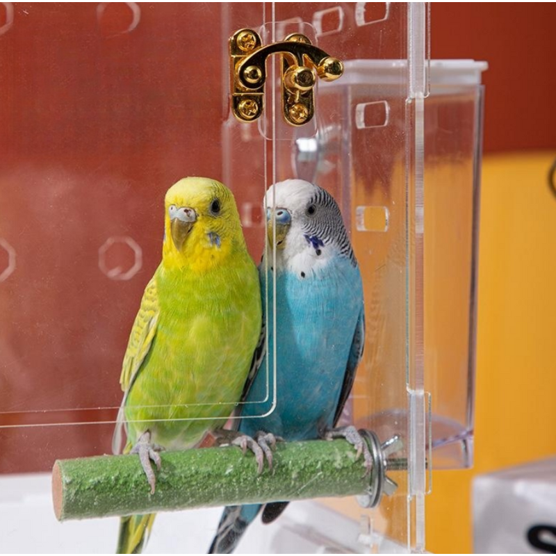 Acrylic Birdcage Manufacturer - Panoramic Transparent Breeding Box Set Wholesale