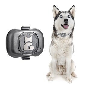Pet GPS Locator Supplier - Smart Wearable Waterproof Anti-lost Tracker