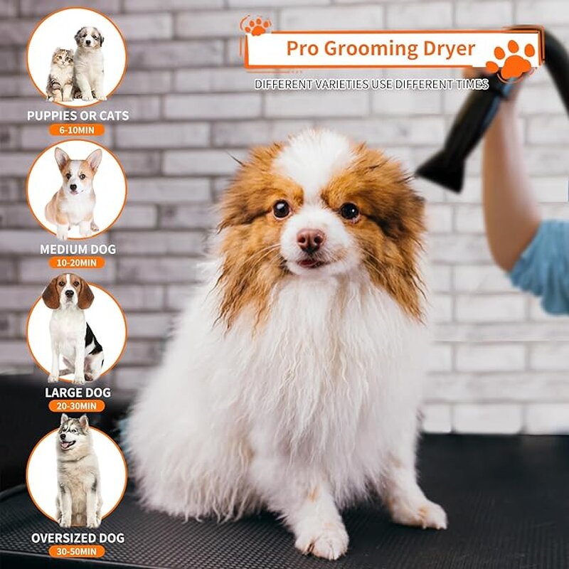 Pet Grooming Dryer Factory - Adjustable Speed Temperature Dog Blow Dryer Nozzles