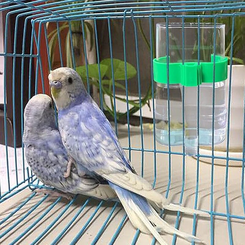 Automatic Bird Waterer Supplier - Parrot Cage Drinker Bottle Feeder Container