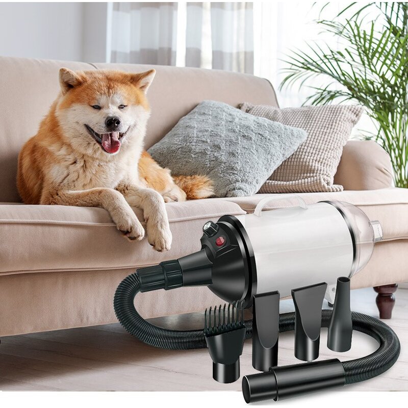 Pet Water Dryer Supplier - High-power Silent Grooming Dryer for Large Dogs
