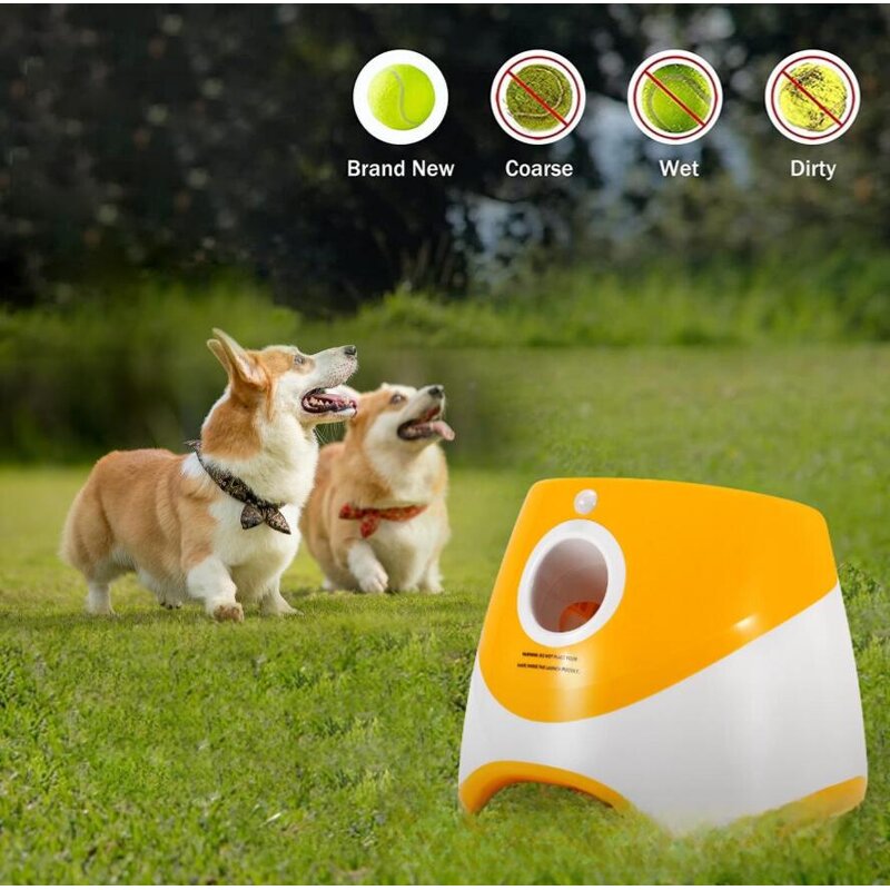 Tennis Ball Throwing Machine Factory - Automatic Pet Interactive Training Equipment