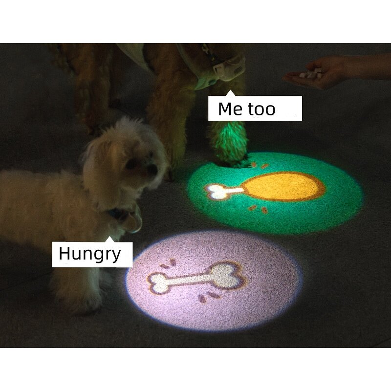 LED Dog Collar Factory - Rechargeable Lighted Glow Flashing Night Waterproof