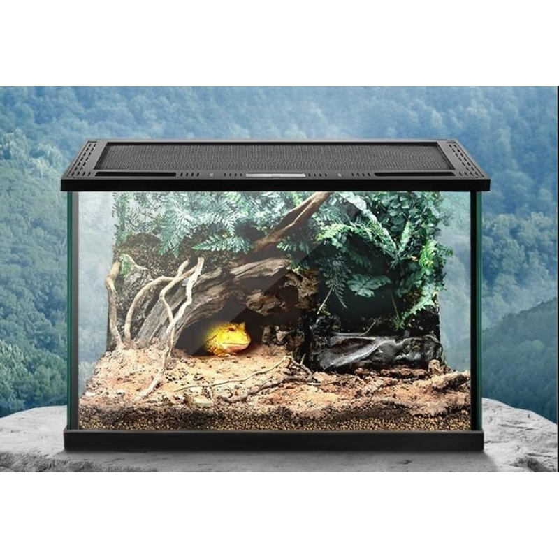 Reptile Tank Manufacturer - Fully Transparent Ecological Breeding Box Terrarium