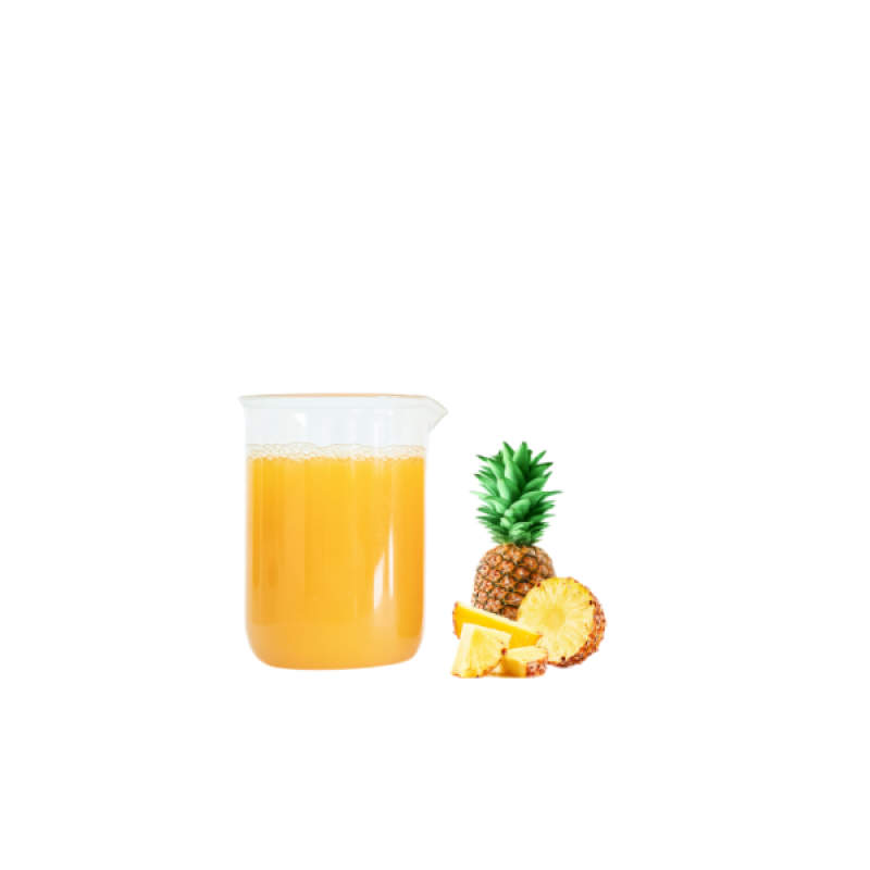 Aseptic 200kg Bag Drum Pure Natural Beverage Drink Raw Material Fruit Puree Mango Fermented Juice Category Fruit Vegetable Juice